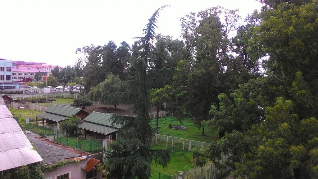 Apartament Gia Батуми Екстериор снимка